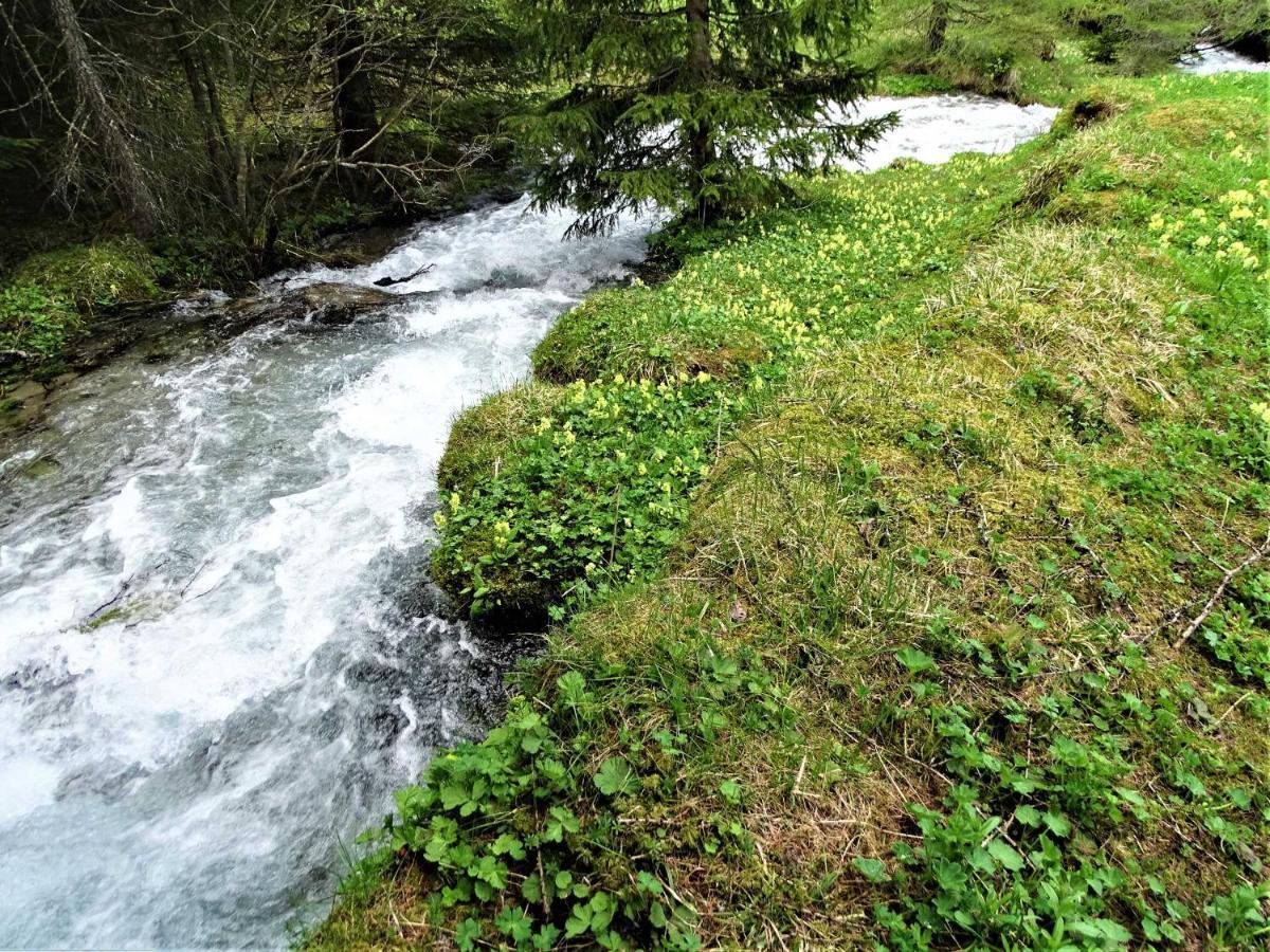 Gaestehaus Geir Apartment Obernberg am Brenner ภายนอก รูปภาพ